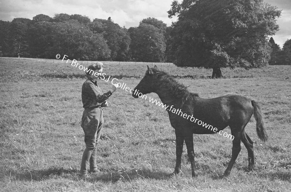 HEADFORD HOUSE  MISS ELIZABETH CLARKE WITH THOROUGHBRED MARES AND FOALS